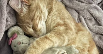 matthias pet sitter à LUNEL 34400_2