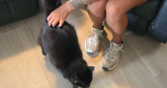 karine pet sitter à ANNEMASSE 74100_2