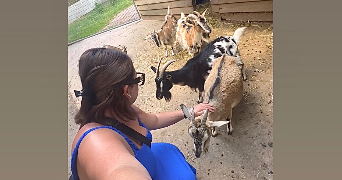 océane pet sitter à PUISEUX EN FRANCE 95380_4