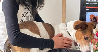 maudesty pet sitter à PONTAULT COMBAULT 77340_2