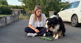 philippine pet sitter à ENNETIERES EN WEPPES 59320_2