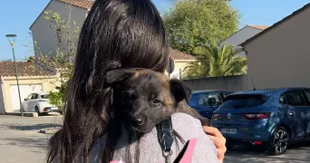 selma pet sitter à AVIGNON 84000