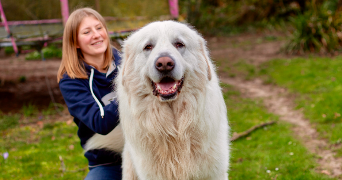 douce pet sitter à VERNEUIL SUR SEINE 78480_2