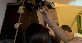 clara pet sitter à PARIS 13 75013_1