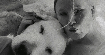 jennifer pet sitter à TURRETOT 76280_4