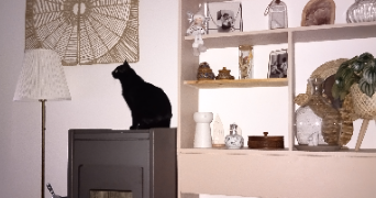 elodie cat sitter à CHATEL GUYON 63140_0