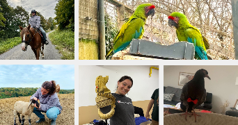 marine pet sitter à FELINES 07340_2