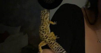 camille pet sitter à BAILLEUL 59270_4