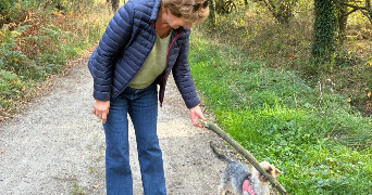 barbara pet sitter à DAMGAN 56750_0