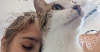guerreiro viseu pet sitter à NIMES 30000_9