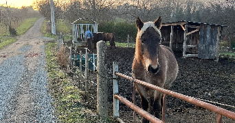 léa pet sitter à BRUSSIEU 69690_2