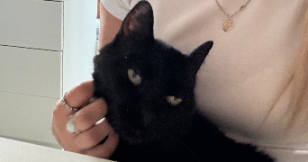 giulia pet sitter à BESANCON 25000_2