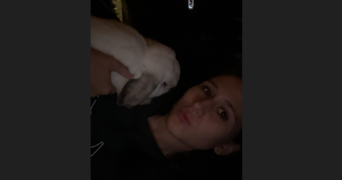 clemence pet sitter à OSTRICOURT 59162_2