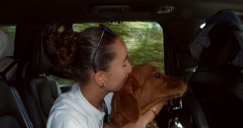 toscane pet sitter à LAXOU 54520_1