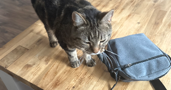 laurent pet sitter à HUNINGUE 68330_3
