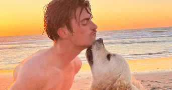 gaspard pet sitter à ANGLET 64600