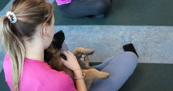 maud pet sitter à IZERNORE 01580_2