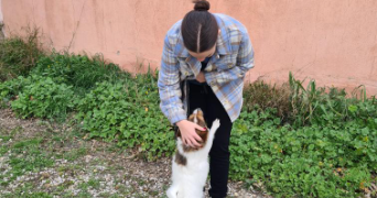 axelle pet sitter à CANOHES 66680_0