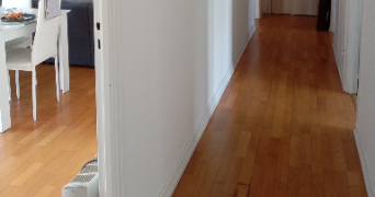 clémentine pet sitter à REIMS 51100_2