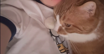 marion pet sitter à ST DENIS 93200_1