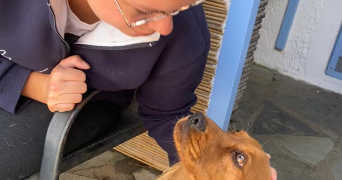 lucie pet sitter à saintes 17100_8