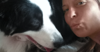 olivia pet sitter à MARLENHEIM 67520_1