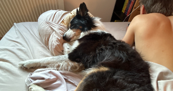 julie pet sitter à LES MATELLES 34270_3