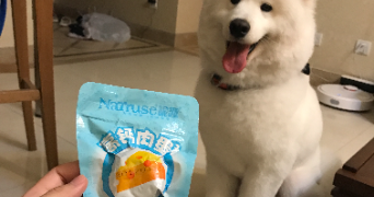 xintian pet sitter à LYON 02 69002_2