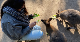 laia pet sitter à Anglet 64600_2