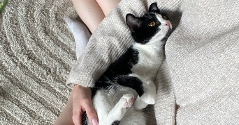 zoé pet sitter à CASTELNAU LE LEZ 34170_3