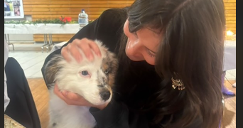 mathilda pet sitter à BLAGNAC 31700_0