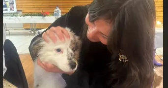 mathilda pet sitter à BLAGNAC 31700