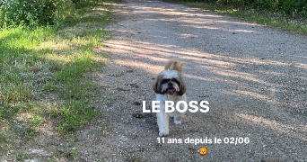 lou pet sitter à BORDEAUX 33000_3