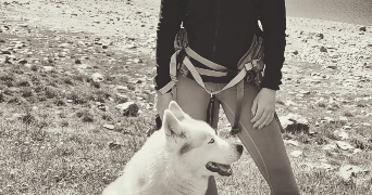 maeva pet sitter à BOUILLON 64410_6