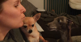 emmanuelle pet sitter à VIGNEUX SUR SEINE 91270_5