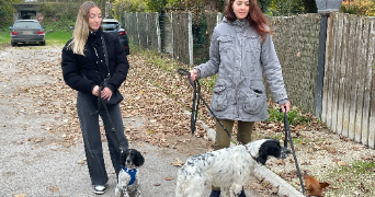 elodie pet sitter à ST LYE 10180_2