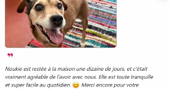 fleuriane pet sitter à MARSEILLE 06 13006_2