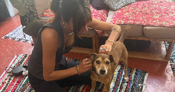 fleuriane pet sitter à MARSEILLE 06 13006