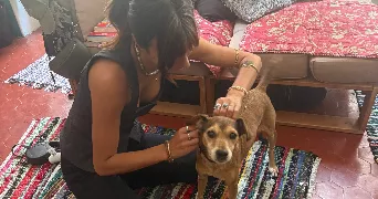 fleuriane pet sitter à MARSEILLE 06 13006