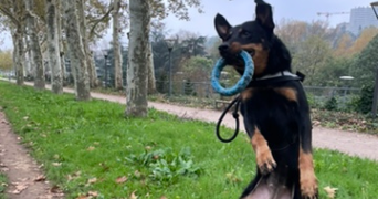 marjorie pet sitter à CALUIRE ET CUIRE 69300_7