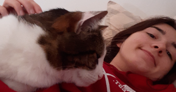 gaelle pet sitter à MORDELLES 35310_3