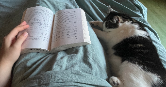 salomée pet sitter à PARIS 20 75020_3