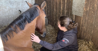 léa pet sitter à MONTPELLIER 34000_1