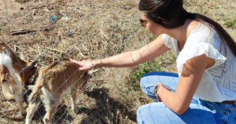 justine pet sitter à MONTIGNY LE BRETONNEUX 78180_4