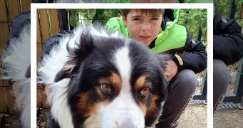 lolaetnoah dog sitter à MONTEVRAIN 77144_9