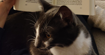 chloé pet sitter à GIBERVILLE 14730_4