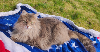 océane  pet sitter à Rontalon 69510_1