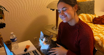 manon cat sitter à ST OUEN SUR SEINE 93400_3