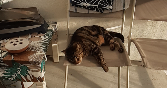 sophie pet sitter à TRAPPES 78190_6