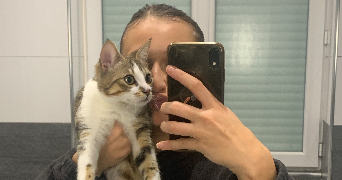 ines pet sitter à CRETEIL 94000_0